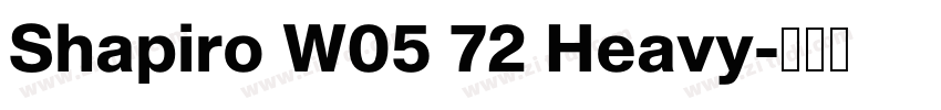 Shapiro W05 72 Heavy字体转换 Shapiro W05 72 Heavy字体转换